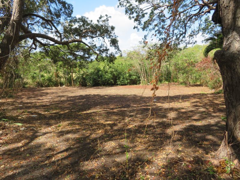 Land For Sale in Holders Barbados